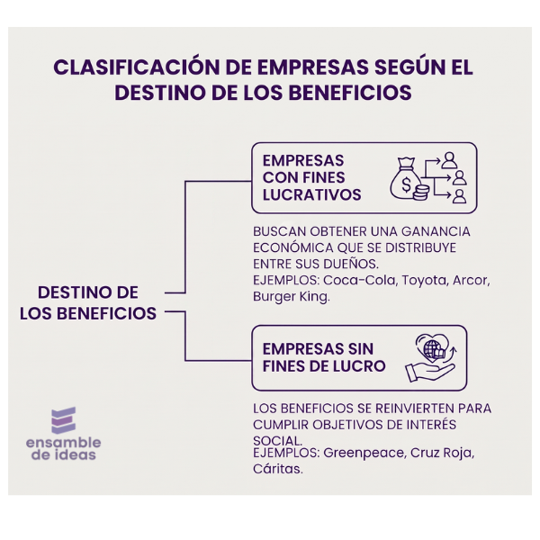 empresas sin fines de lucro y empresas con fines de lucro