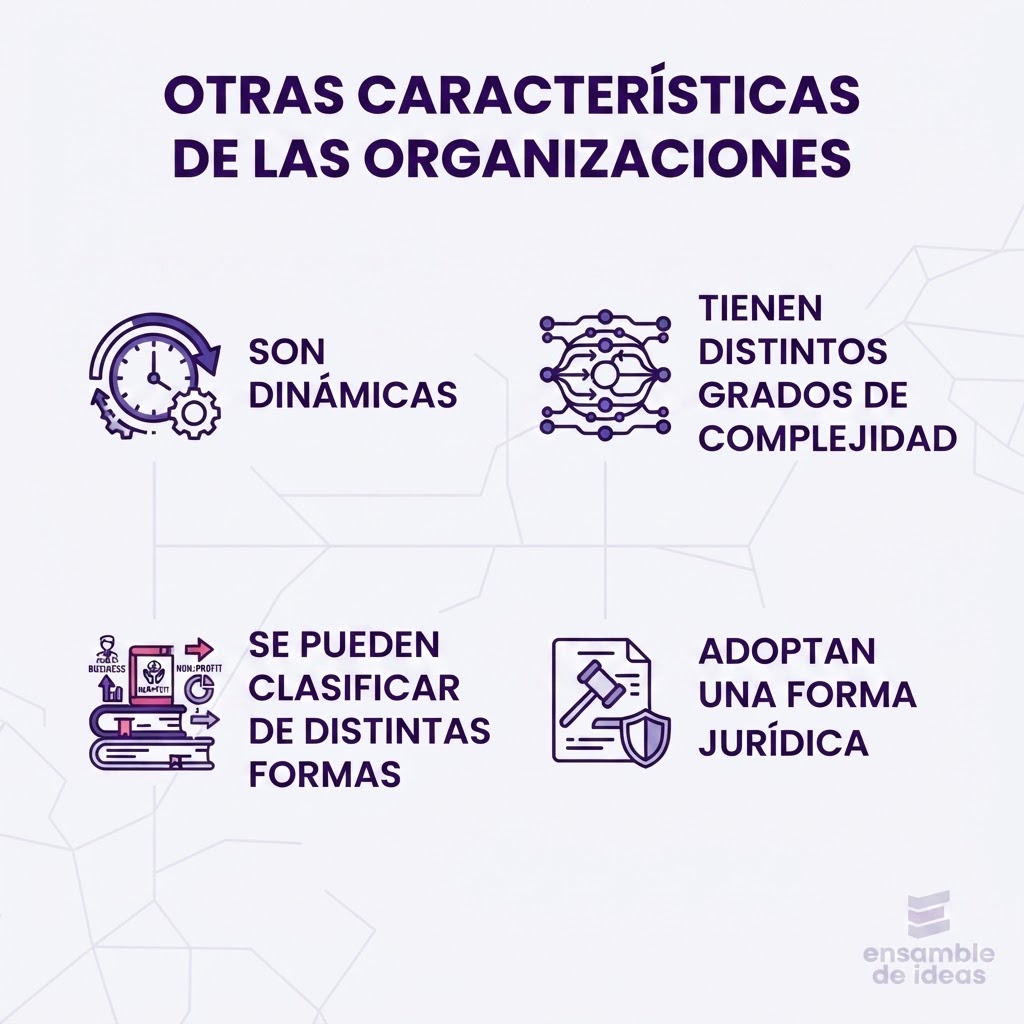 otras caracteristicas de las organizaciones