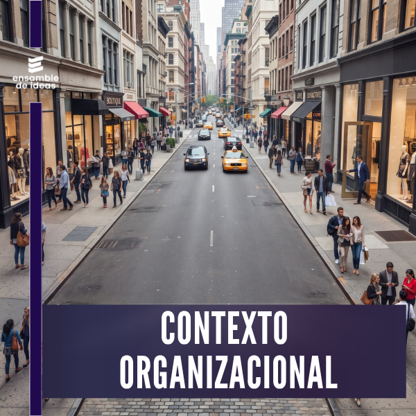 CONTEXTO ORGANIZACIONAL