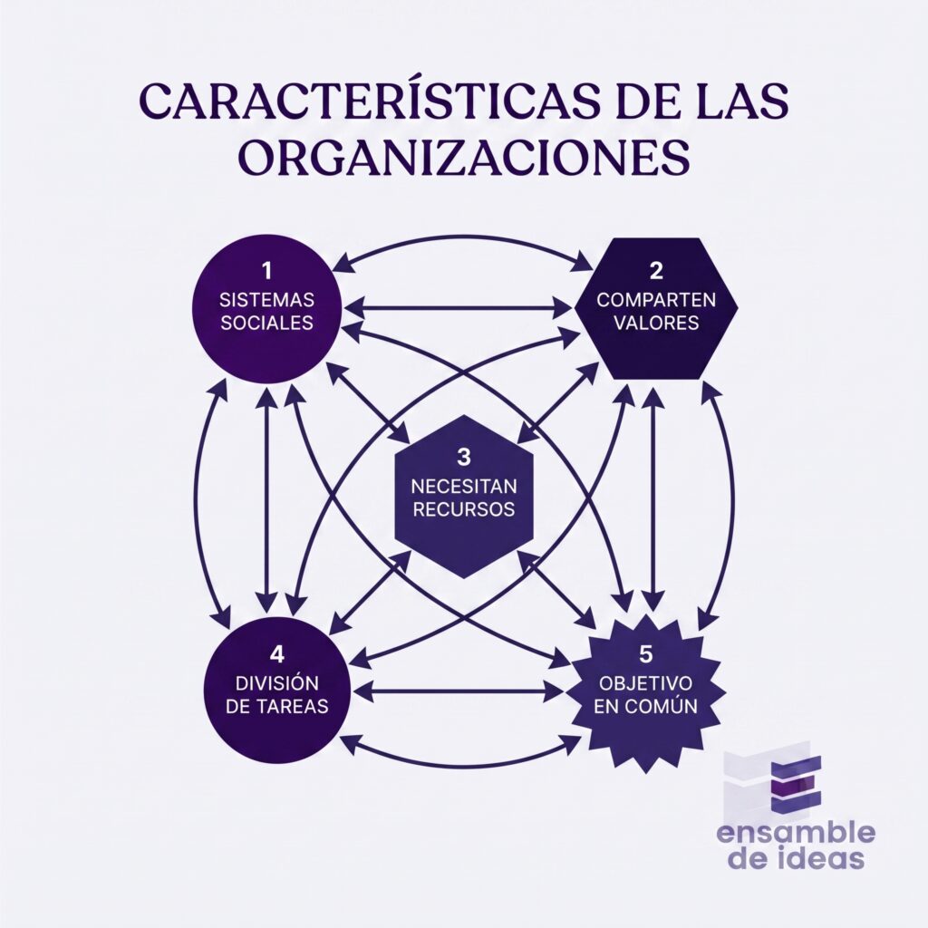caracteristicas de las organizaciones