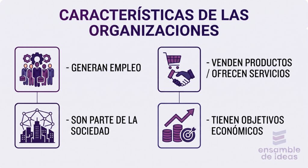 caracteristicas de las organizaciones