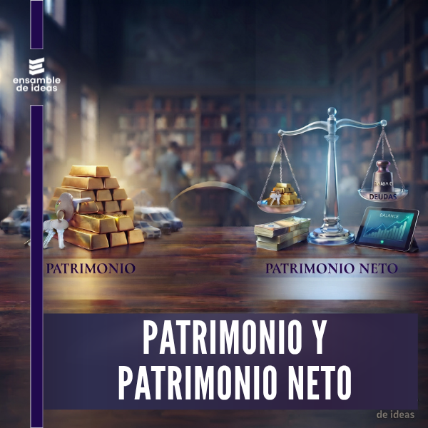 PATRIMONIO Y PATRIMONIO NETO