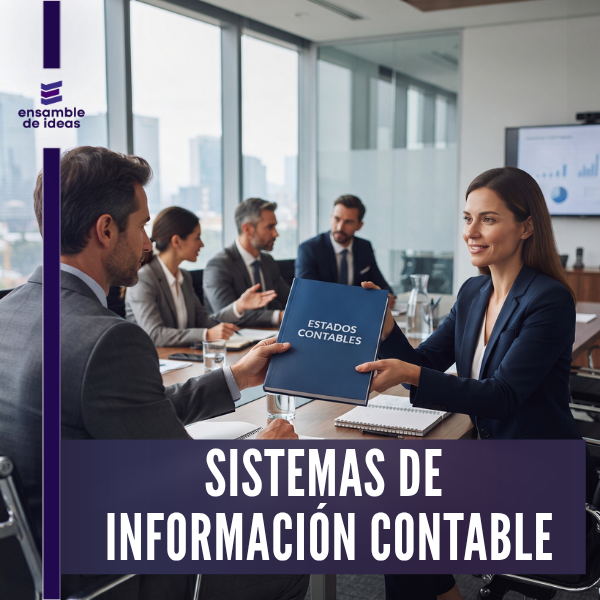 sistemas de información contable