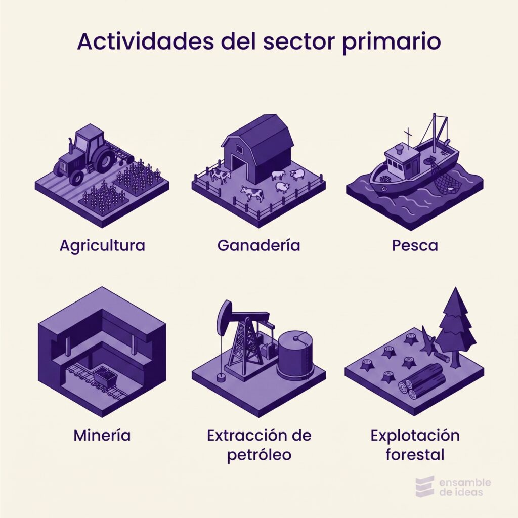 sector primario de la economia