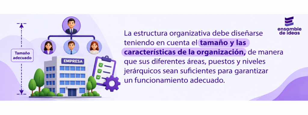 dimension de la organizacion