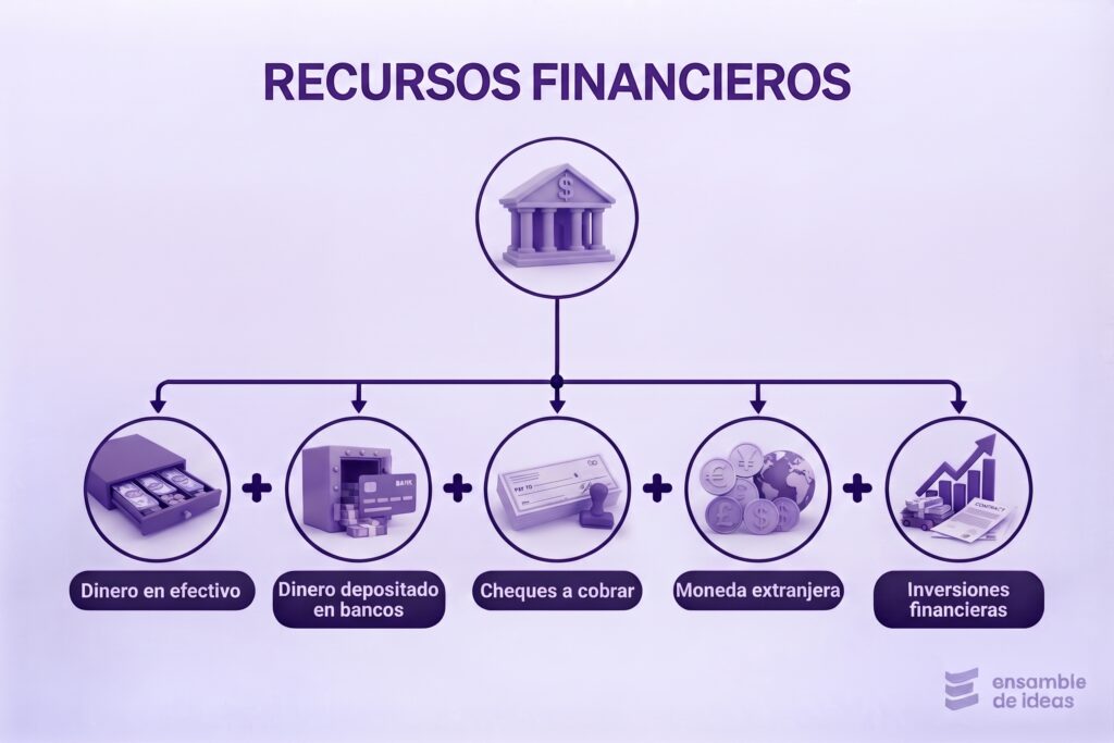 recursos financieros de una organizacion