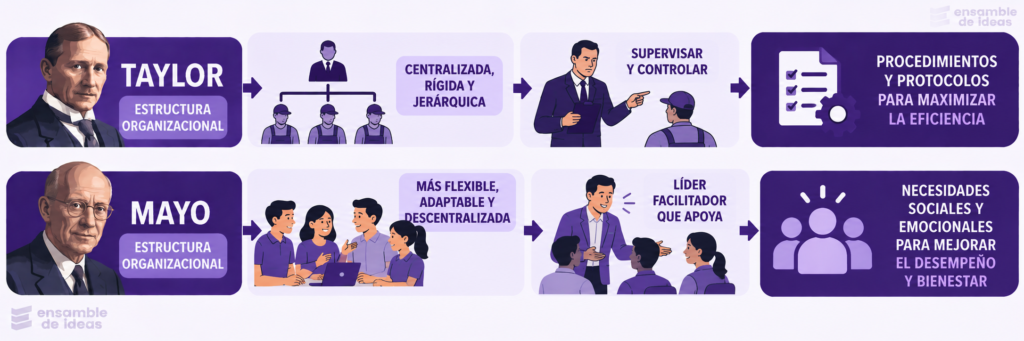 DIFERENCIAS ENTRE TAYLOR Y MAYO